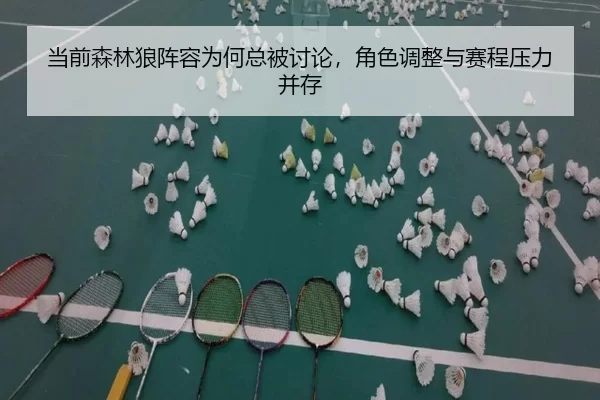 当前森林狼阵容为何总被讨论，角色调整与赛程压力并存